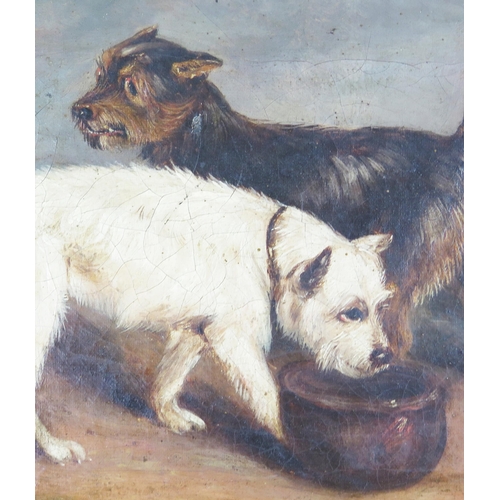 1538 - J Barry, study of two terriers, signed and dated 1836, oil on canvas, 30 x 22, framed, A/F and a por... 