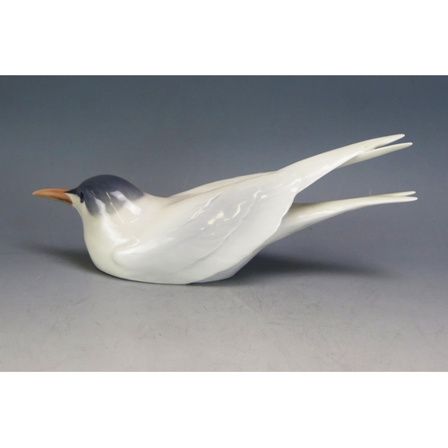 1182 - A Royal Copenhagen porcelain model of a seated tern, No 827, 26cm long.