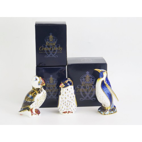 1184B - A Royal Crown Derby paperweight in the form of a Puffin, and two others in the form of penguins, all... 