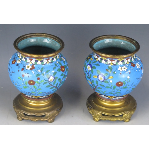 1405 - A pair of Chinese cloisonné vases, with floral decoration to a powder blue ground, raised on gilt st... 