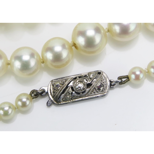 187 - A Graduated Pearl or Cultured Pearl Single Strand Necklace with an old cut diamond precious white me... 