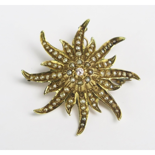 Lot 1031      