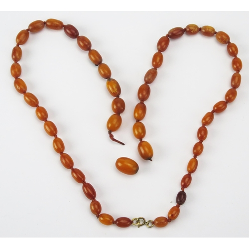 206 - An Amber Bead Necklace, c. 32.7g, largest bead 18.3x12.3mm. Needs restringing