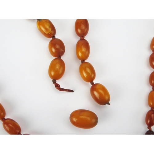206 - An Amber Bead Necklace, c. 32.7g, largest bead 18.3x12.3mm. Needs restringing