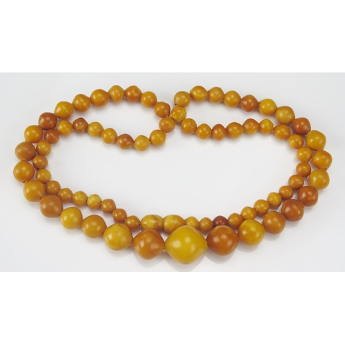 245 - A Graduated Amber Bead Necklace, 59cm, largest bead 17x15.2mm, 20.7g