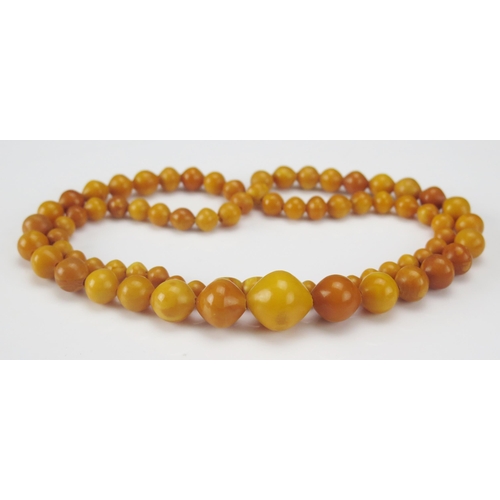 245 - A Graduated Amber Bead Necklace, 59cm, largest bead 17x15.2mm, 20.7g