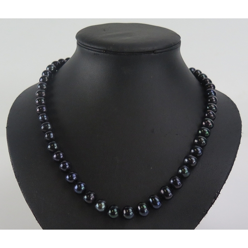 23 - A cultured pearl necklace with a 9ct yellow gold clasp (45cm, 17.89g) and a black pearl necklace wit... 