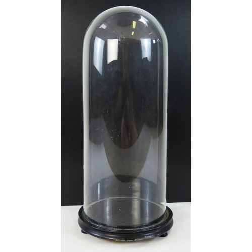 1104 - A Victorian glass dome of cylindrical form, raised on a circular ebonised base, overall height 55cm ... 