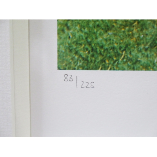 7A - Limited edition Signed Pele photographic print 