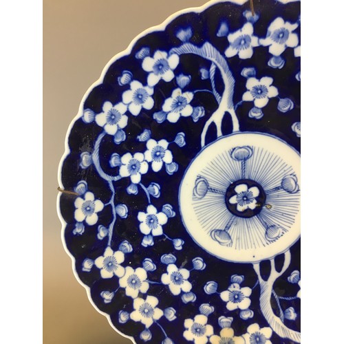 29 - 19th Century Large Japanese Arita Charger Blue and White Cherry Blossom Design.Dia 31cm