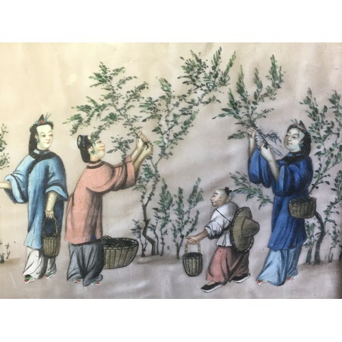 117 - Early 19th Century Chinese Paintings on Silk x 3 - Depicting Tea Making and Opium Smoking.H 22cm x W... 