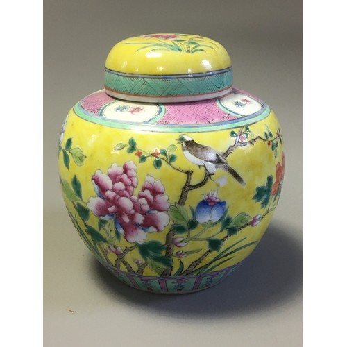 99 - Collection of 19th Century and Later 4 x Chinese Ginger Jars. 2 x Blue and White Prunus Pattern, an ... 