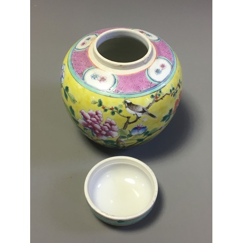 99 - Collection of 19th Century and Later 4 x Chinese Ginger Jars. 2 x Blue and White Prunus Pattern, an ... 