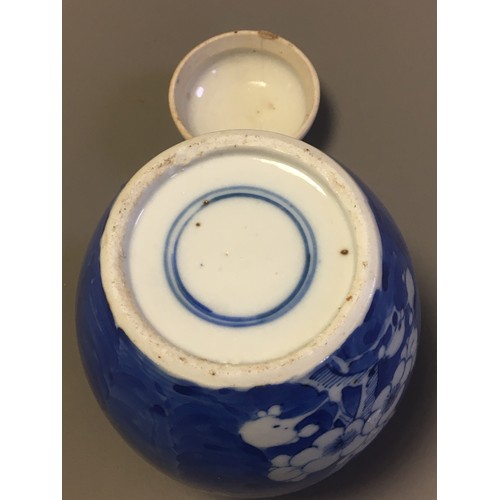 99 - Collection of 19th Century and Later 4 x Chinese Ginger Jars. 2 x Blue and White Prunus Pattern, an ... 