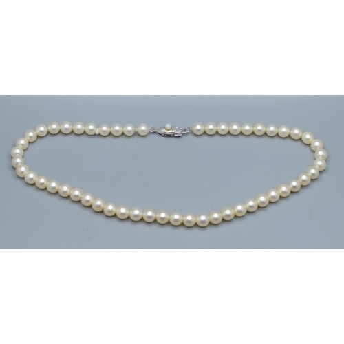 2607 - Strand of vintage cultured Pearls with silver cultured pearl clasp