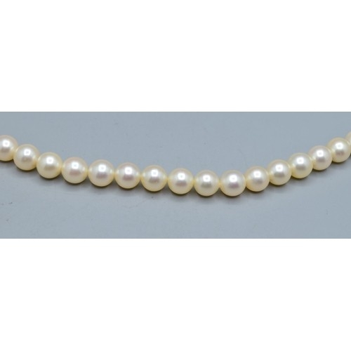 2607 - Strand of vintage cultured Pearls with silver cultured pearl clasp