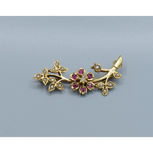 2611 - Fine Ruby and seed Pearl brooch, mounted in 9ct gold measuring 3.7cm in length, 3.3grams