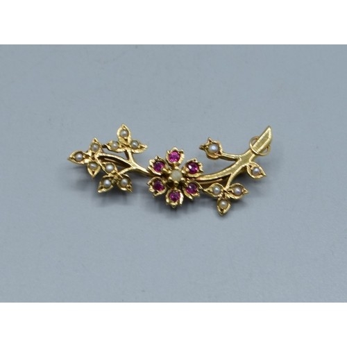 2611 - Fine Ruby and seed Pearl brooch, mounted in 9ct gold measuring 3.7cm in length, 3.3grams