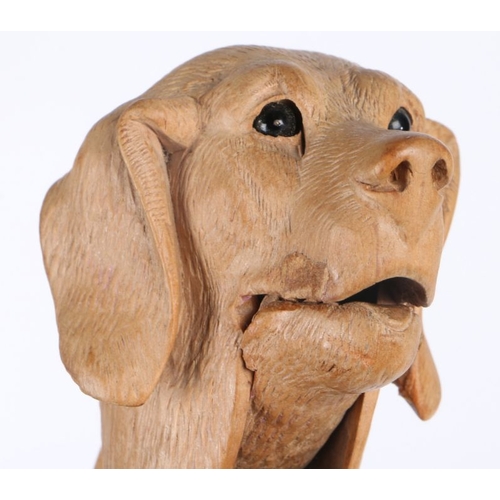 152 - Black Forrest nutcracker, carved as a Labrador, 18cm high