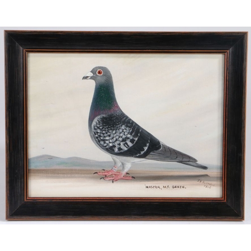 401 - J Browne (British, 20th Century)
 'Master, M.c.Grath' (Racing Pigeon)
 signed and dated 1923 (lower ... 