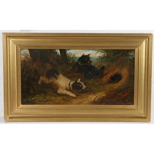 404 - Attributed to George Armfield (British, 1808-1893)
 Terriers Ratting
 oil on canvas
 30 x 60cm (12