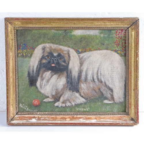 405 - Eva Yates Badley, 20th Century depiction of a Pekinese dog 