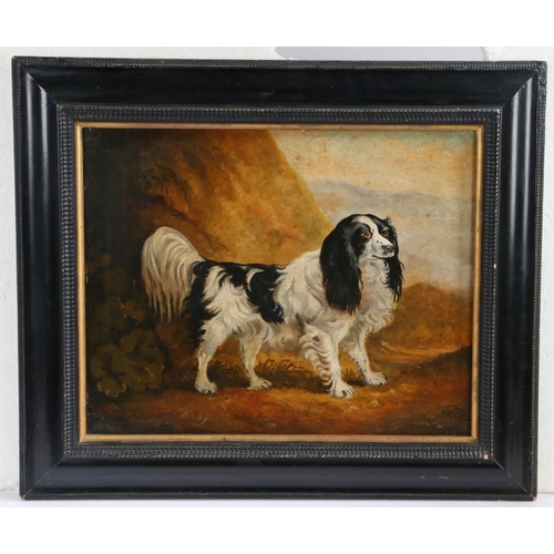 406 - English School (19th Century)
 Spaniel in Landscape
 oil on canvas
 39 x 49cm (15.5'' x 19.5'')