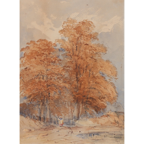 31 - Circle of John Sell Cotman (British, 1782-1842)
 Woodland Path Through Beech
 watercolour
 33 x 24cm... 