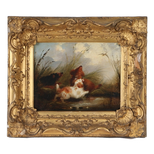 144 - Attributed to George Armfield (British, 1808-1893)
 Spaniels and Terriers
 pair of oils on canvas
 1... 