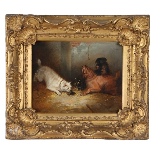 144 - Attributed to George Armfield (British, 1808-1893)
 Spaniels and Terriers
 pair of oils on canvas
 1... 