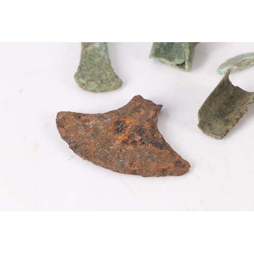 12 - BRONZE AGE DETECTING AND FIELD WALKING FINDS. To include axe sections and a chisel section, (8).