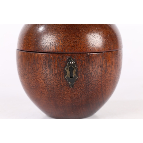 168 - AN EARLY 20TH CENTURY OAK TEA CADDY IN THE FORM OF AN APPLE. An Early 20th century oak tea caddy in ... 