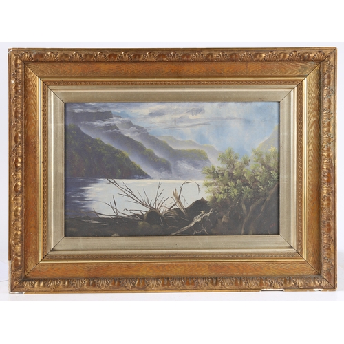 221 - A PAIR OF NEW ZEALAND SCHOOL OIL PAINTINGS. To include an unframed painting of Milford sounds, South... 