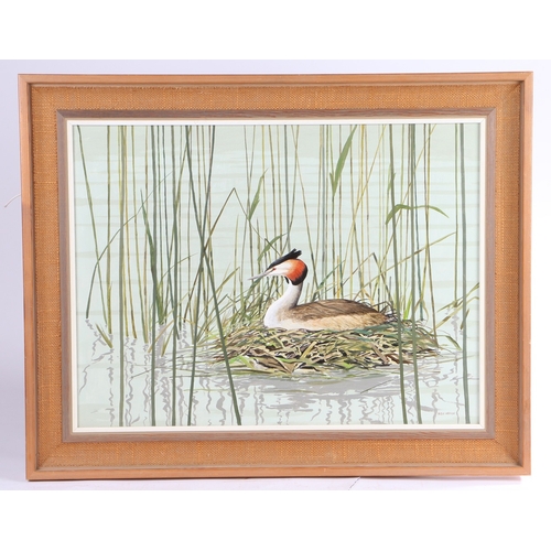 241 - PETER MERRIN (BRITISH, 20TH CENTURY) GREBE NESTING. Peter Merrin (British, 20th Century)
Grebe Nesti... 