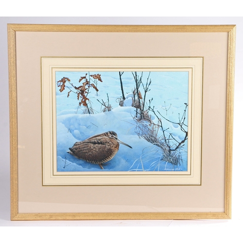 242 - JAMES WILLIAMSON BELL (BRITISH, 1938-2010) WOODCOCK IN SNOW. James Williamson Bell (British, 1938-20... 