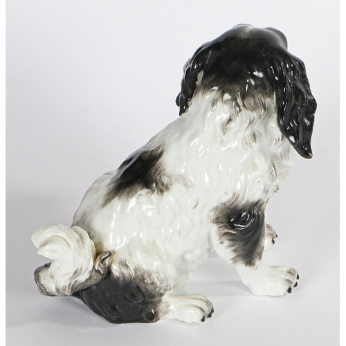 302 - A MEISSEN STYLE PORCELAIN MODEL OF A BLACK AND WHITE KING CHARLES SPANIEL. A Meissen style porcelain... 