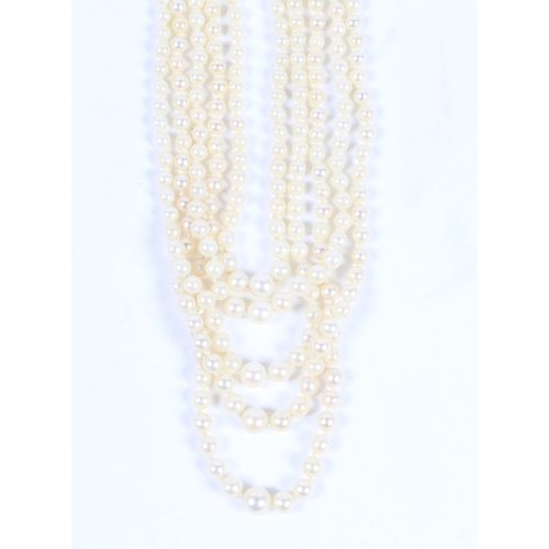 50 - A CULTURED PEARL CHOKER. formed from five strands of graduated cultured pearl beads, the white metal... 