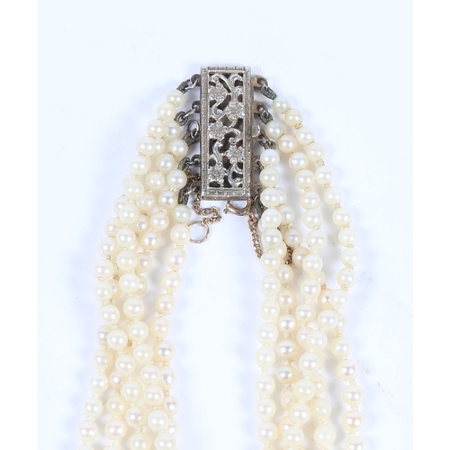 50 - A CULTURED PEARL CHOKER. formed from five strands of graduated cultured pearl beads, the white metal... 