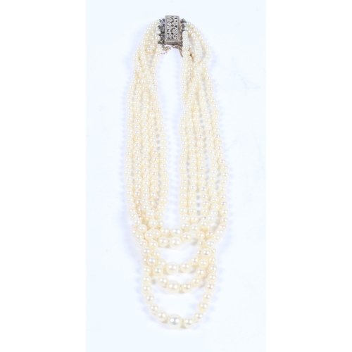 50 - A CULTURED PEARL CHOKER. formed from five strands of graduated cultured pearl beads, the white metal... 