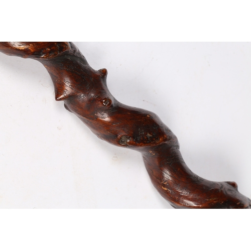 92 - A 19TH CENTURY WALKING CANE. Formed from natural spiral, with hatched collared ball terminal,  91cm ... 