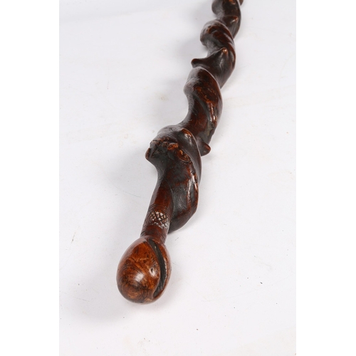 92 - A 19TH CENTURY WALKING CANE. Formed from natural spiral, with hatched collared ball terminal,  91cm ... 