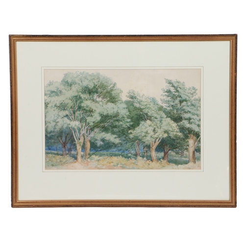 116 - ATTRIBUTED TO JOHN MIDDLETON (BRITISH, 1828-1856). Wooded Landscape watercolour 31 x 47cm (12in x ... 