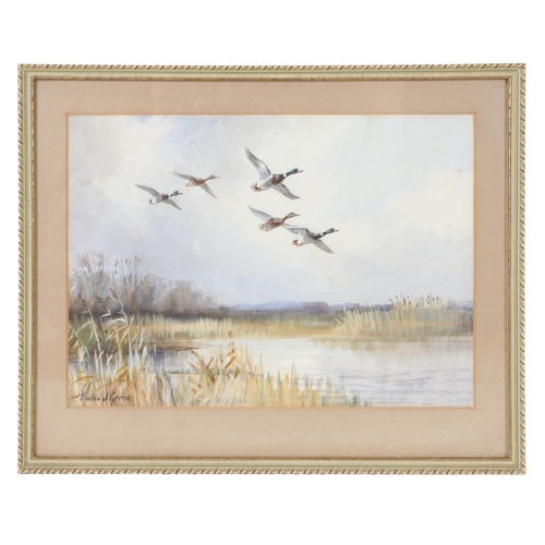 96 - ROLAND GREEN (BRITISH, 1890-1972). Mallard in Flight
 signed (lower left), watercolour
 23 x 32cm (9... 
