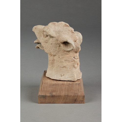 61 - A RARE MEDIEVAL 15TH CENTURY OOLITIC FOSSIL LIMESTONE GRIFFIN HEAD, ENGLISH, CIRCA 1400-1450. The sc... 