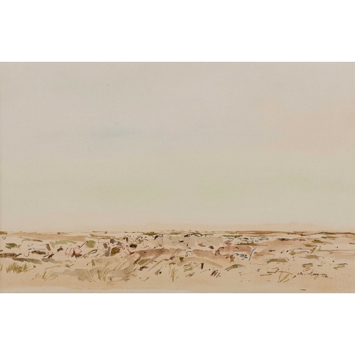 210 - BROWN LANDSCAPE; LANDSCAPE WITH LARGE SKY, two