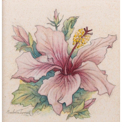 247 - HIBISCUS; PALE PINK HIBISCUS, two