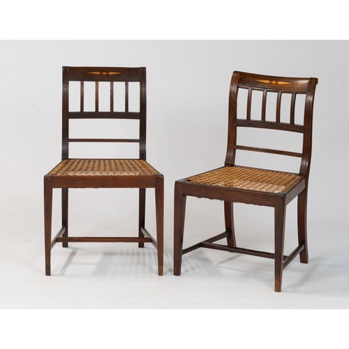 142 - A PAIR OF CAPE STINKWOOD REGENCY SIDE CHAIRS, MURRAYSBURG DISTRICT, CIRCA 1820