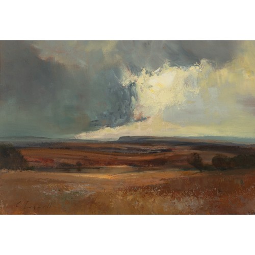 310 - Christopher Tugwell (South African 1938 - 2021) LANDSCAPE WITH STORM CLOUDS