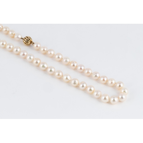 567 - A PEARL NECKLACE