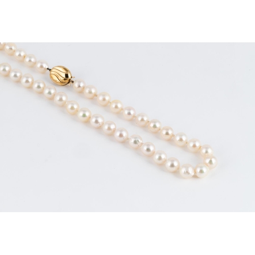 568 - A PEARL NECKLACE